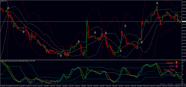 Forex Dz - 